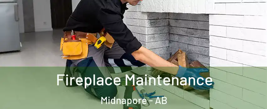  Fireplace Maintenance Midnapore - AB