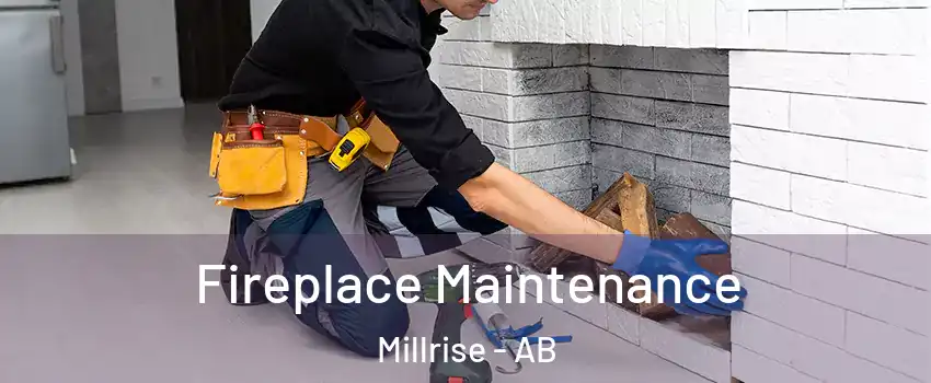  Fireplace Maintenance Millrise - AB
