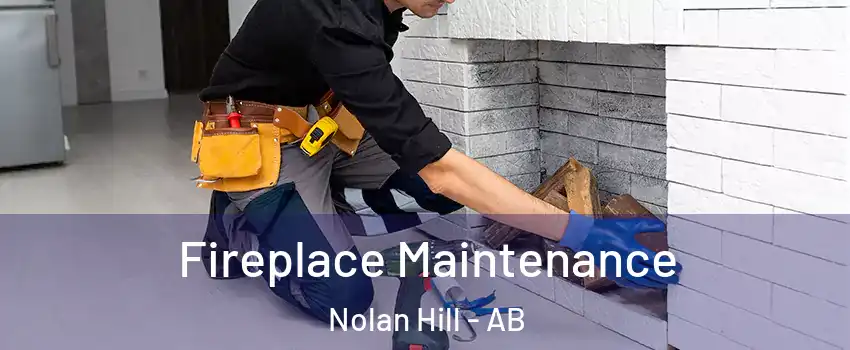  Fireplace Maintenance Nolan Hill - AB