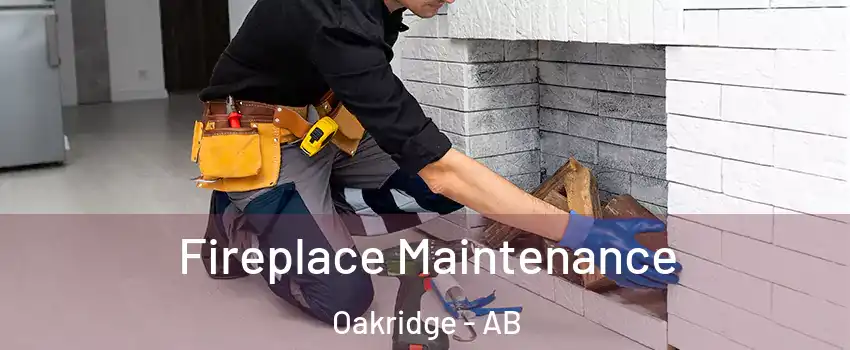  Fireplace Maintenance Oakridge - AB