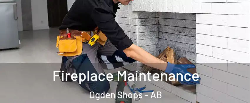  Fireplace Maintenance Ogden Shops - AB