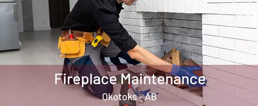  Fireplace Maintenance Okotoks - AB