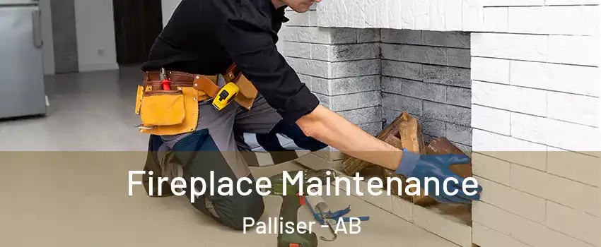  Fireplace Maintenance Palliser - AB