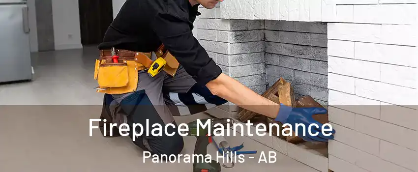  Fireplace Maintenance Panorama Hills - AB