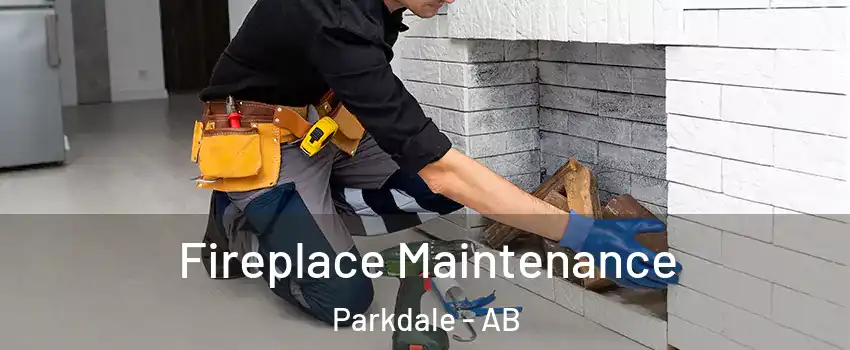  Fireplace Maintenance Parkdale - AB
