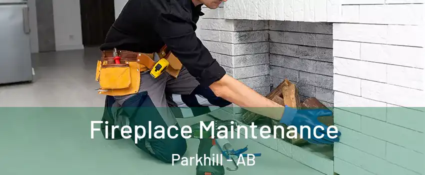  Fireplace Maintenance Parkhill - AB