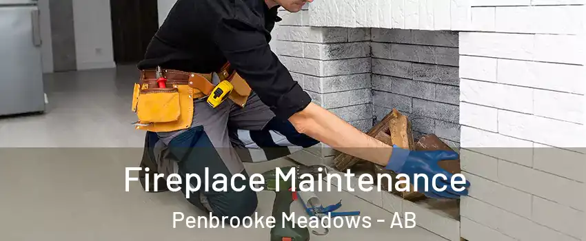 Fireplace Maintenance Penbrooke Meadows - AB