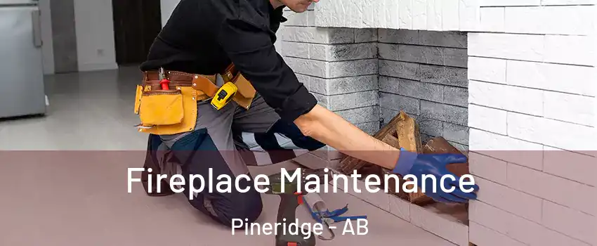  Fireplace Maintenance Pineridge - AB