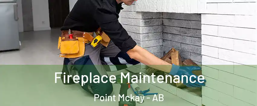  Fireplace Maintenance Point Mckay - AB