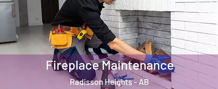  Fireplace Maintenance Radisson Heights - AB