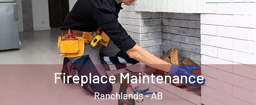  Fireplace Maintenance Ranchlands - AB