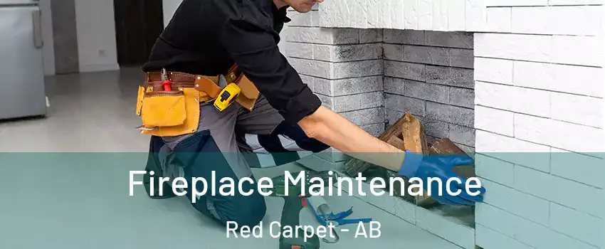  Fireplace Maintenance Red Carpet - AB