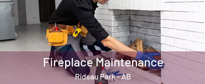  Fireplace Maintenance Rideau Park - AB