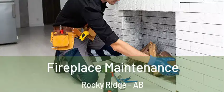  Fireplace Maintenance Rocky Ridge - AB