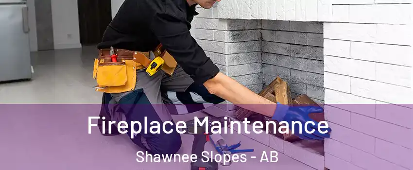  Fireplace Maintenance Shawnee Slopes - AB