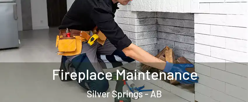 Fireplace Maintenance Silver Springs - AB