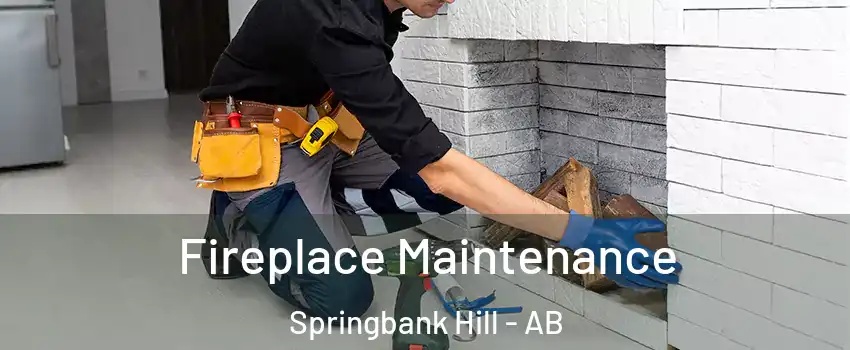  Fireplace Maintenance Springbank Hill - AB
