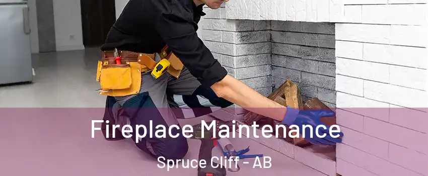  Fireplace Maintenance Spruce Cliff - AB