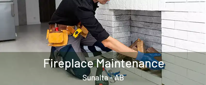  Fireplace Maintenance Sunalta - AB