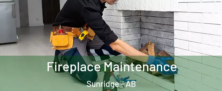  Fireplace Maintenance Sunridge - AB