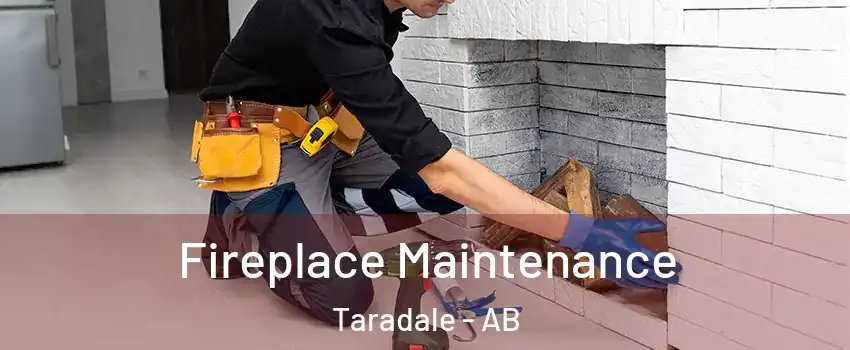  Fireplace Maintenance Taradale - AB