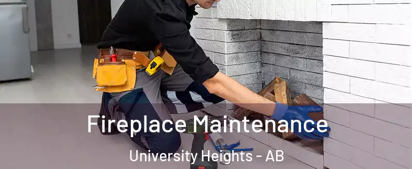  Fireplace Maintenance University Heights - AB
