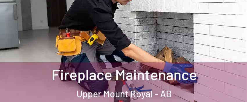  Fireplace Maintenance Upper Mount Royal - AB