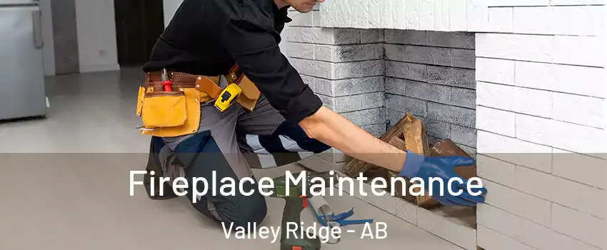  Fireplace Maintenance Valley Ridge - AB