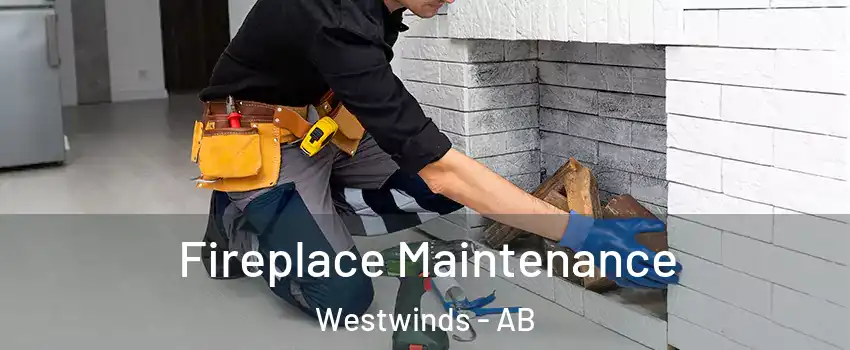  Fireplace Maintenance Westwinds - AB