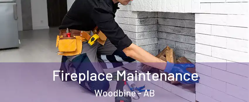 Fireplace Maintenance Woodbine - AB