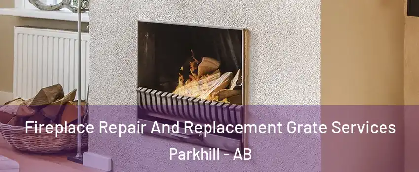  Fireplace Repair And Replacement Grate Services Parkhill - AB