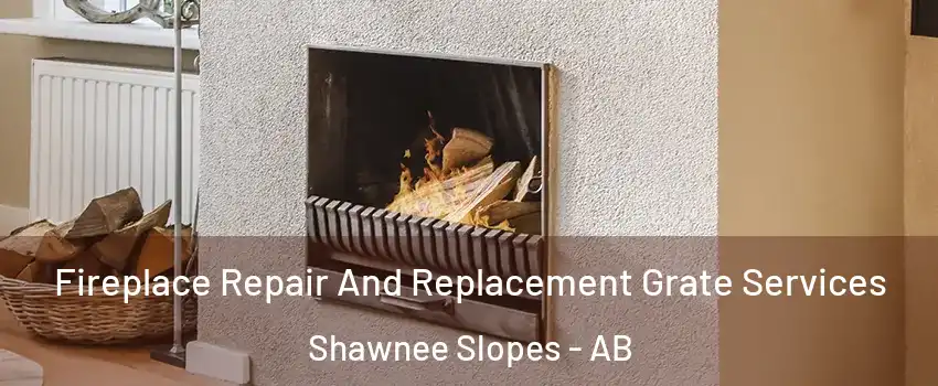  Fireplace Repair And Replacement Grate Services Shawnee Slopes - AB