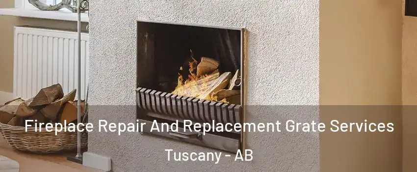  Fireplace Repair And Replacement Grate Services Tuscany - AB