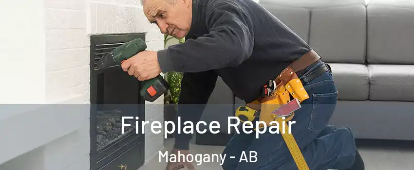  Fireplace Repair Mahogany - AB