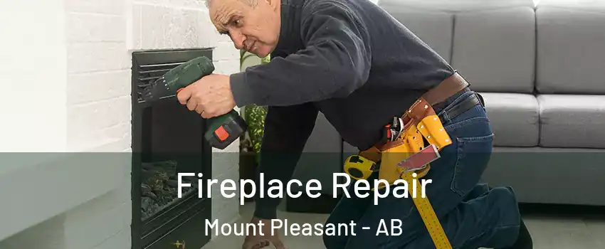  Fireplace Repair Mount Pleasant - AB