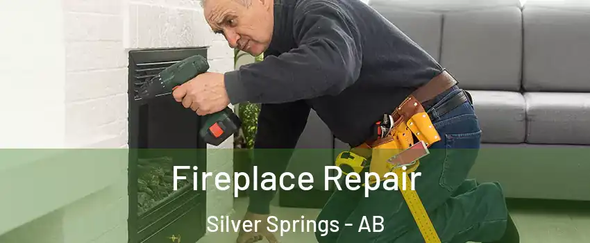  Fireplace Repair Silver Springs - AB