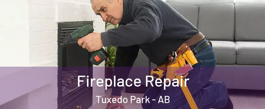  Fireplace Repair Tuxedo Park - AB