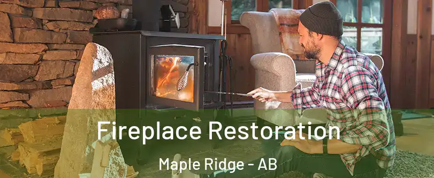  Fireplace Restoration Maple Ridge - AB