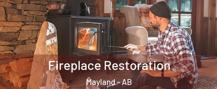  Fireplace Restoration Mayland - AB