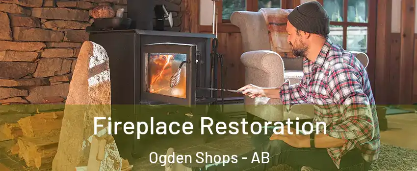  Fireplace Restoration Ogden Shops - AB