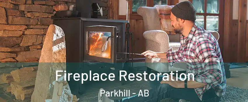  Fireplace Restoration Parkhill - AB