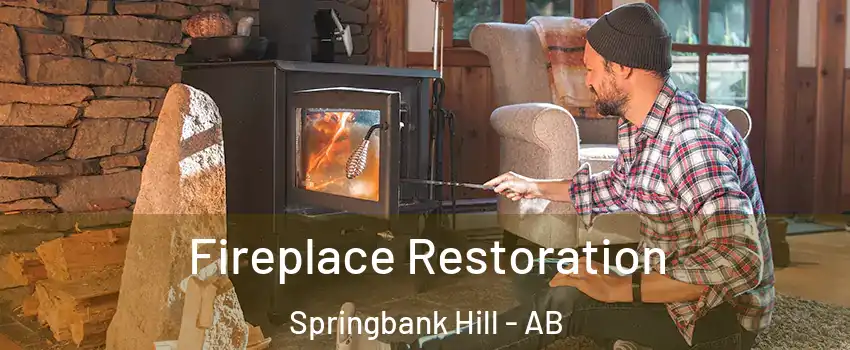  Fireplace Restoration Springbank Hill - AB