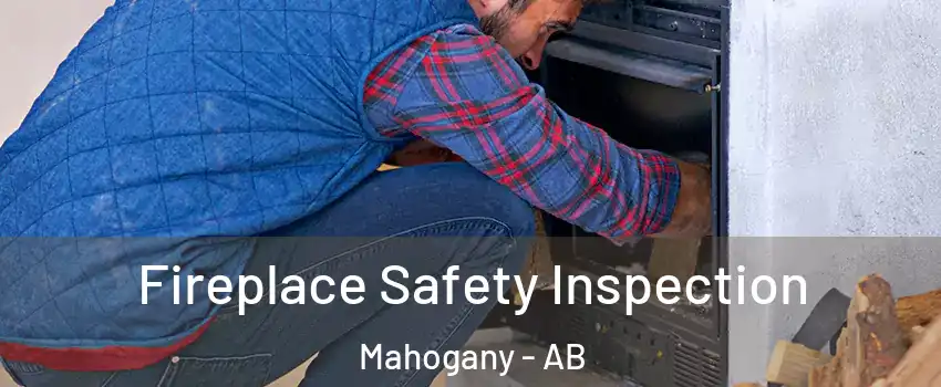  Fireplace Safety Inspection Mahogany - AB