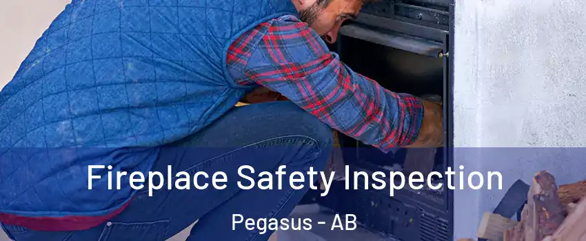  Fireplace Safety Inspection Pegasus - AB