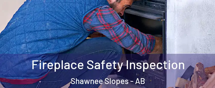  Fireplace Safety Inspection Shawnee Slopes - AB