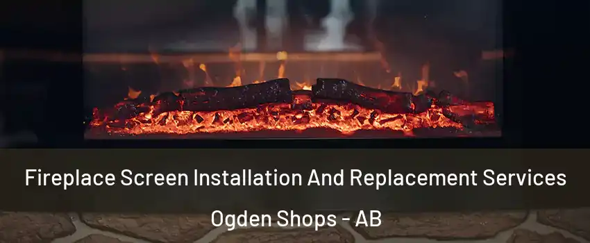  Fireplace Screen Installation And Replacement Services Ogden Shops - AB