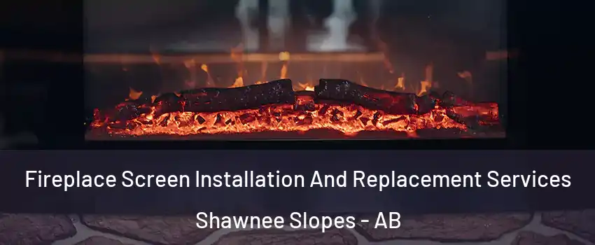  Fireplace Screen Installation And Replacement Services Shawnee Slopes - AB