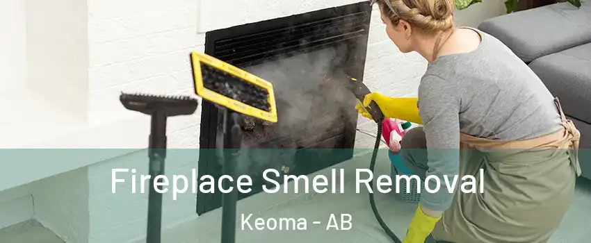  Fireplace Smell Removal Keoma - AB