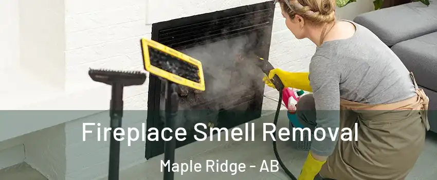  Fireplace Smell Removal Maple Ridge - AB