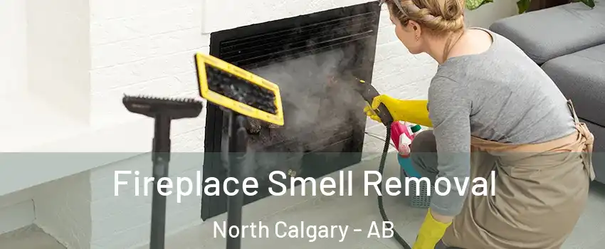  Fireplace Smell Removal North Calgary - AB